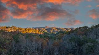 Mountain Solace - 9