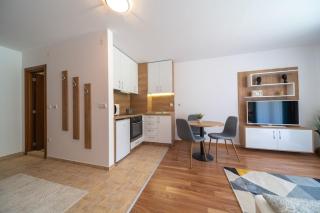 Pirin Sense Modern Studio - SPA - Parking - BBQ - Bansko - 7