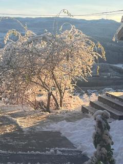 Fairy tale house during Ski world cup - 3