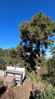 Casita Los Girasoles - Santa Cruz de Tenerife - 8