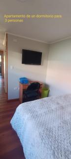 Bosque Valdiviano Apartment - Valdivia - 7