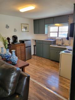 The Link Vintage Motel #1 2bd1ba - Lovelock - 3