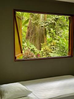 Hotel Boutique The Green Jungle House - Puerto Viejo - 7