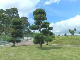 Pulai Blue Lake Homestay Johor Bahru - Johor Bahru - 2