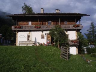 Bauernhof im Wiesengrund - Maria Luggau - 8