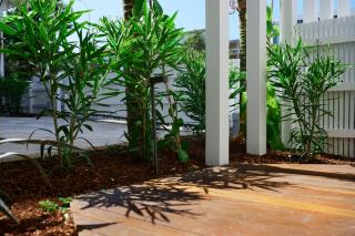 The Bungalows at Bondi Prime 12 - 1