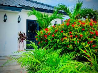 Eagle Stays Aruba-NEW Stunning One Bedroom Apartment Near Eagle Beach! - Oranjestad - 5
