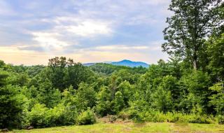 Love Shack at Misty Mountain - Blue Ridge - 9