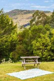 Forest View - Spacious & private full home retreat - 8