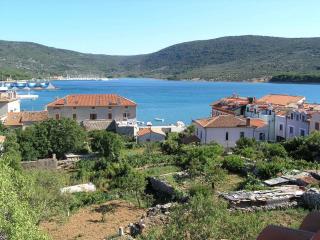 Apartment Mici 1 - Cres - 1