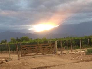 La Bodeguita y El Bodegón Casa Tika - 9