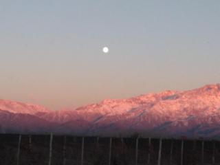 La Bodeguita y El Bodegón Casa Tika - 8