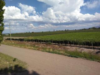 La Bodeguita y El Bodegón Casa Tika - 7