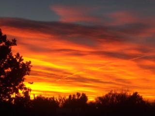 La Bodeguita y El Bodegón Casa Tika - 4