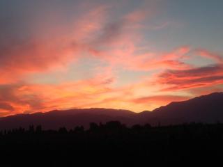 La Bodeguita y El Bodegón Casa Tika - 3