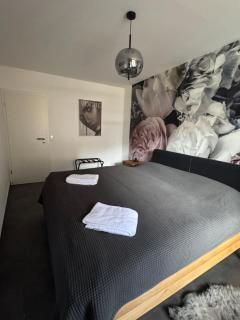 FeWo im Kurhotel in Schluchsee Apartment Loft Style mit Balkon Indoorpool Tiefgaragenstellplatz - Schluchsee - 9