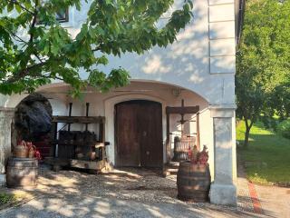 Holiday home in Semic - Kranjska (Krain) 51757 - 7