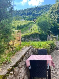Holiday home in Semic - Kranjska (Krain) 51757 - 6