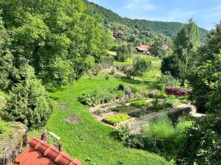 Holiday home in Semic - Kranjska (Krain) 51757 - 3