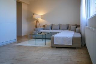 Apartment in Niš, Center! brand-new - Niš - 8