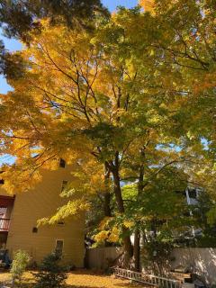 Kailyn Apartment Boston, Massachusetts - 3