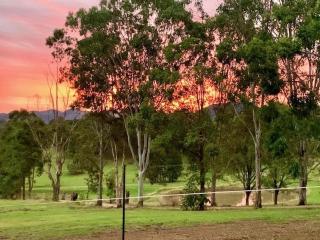 Rosehill cottage and bush retreat - 8