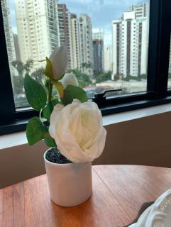 Luxo&Confort Hotel Av Ibirapuera - São Paulo - 1