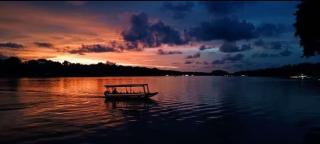 Natural House - Tortuguero - 5