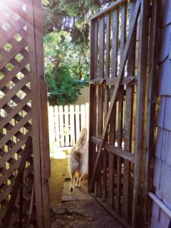 Cabaña kaluz chilhue - 8