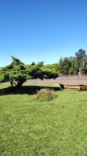 La norita - Olivos - 5