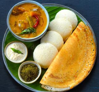 solomons ark - Ernakulam - 9