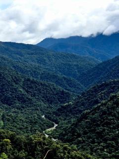 Bosque Tapantí, cerca del PN Tapantí en Orosí, Cartago, Costa Rica - - 4