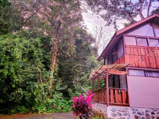 Cool Waters Jungle Villas - Uvita - 1