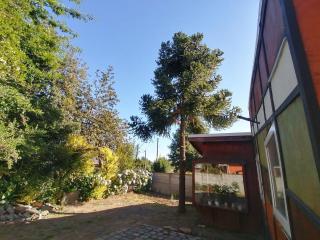 Casa Mila central y a pasos de playa grande - 1