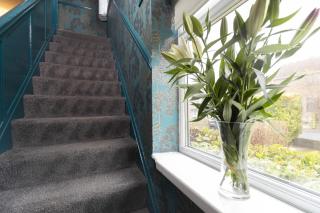 Taylor House, Durham - 1