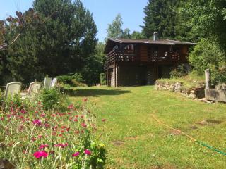 Chalet Braunkopf ALSACE - Muhlbach-sur-Munster - 6