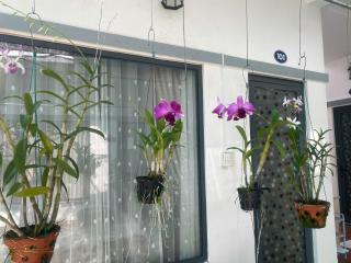 Hostel Bao Khanh at Ong Lang, Phu Quoc - 8