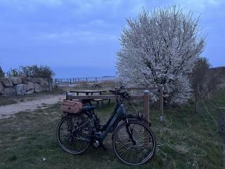 Ostsee-Panorama No 4 - Aurora Vista - ABC568 - nur Feriengä - Hohen Wieschendorf - 0