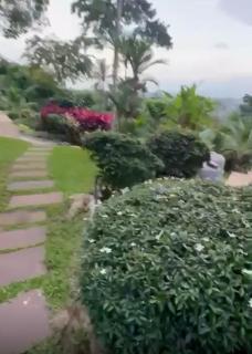 Villa Rosa 13 - Amphoe Koksamui - 8