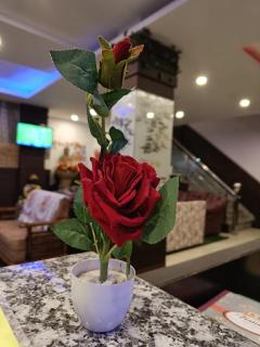 Hotel Cloud Height - Dharamsala - 9