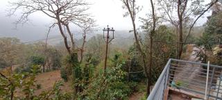 Kasauli Hills Glory - Kasauli - 9
