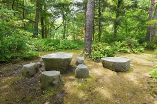 Kitakaruizawa Isshoan ~北軽井沢 一菖庵~ - Tsumagoi - 6