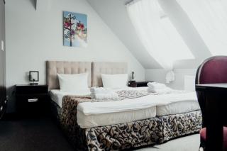 Hotel Pałac Krotoszyce Basen&Spa - Krotoszyce - 8