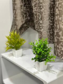 Newly built Flat Near Taj Mahal - 3