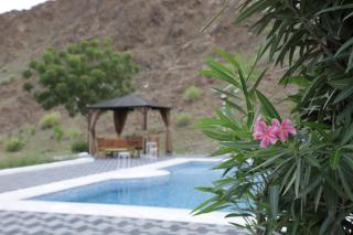 Dibba Fujairah Private farm with pool - 3
