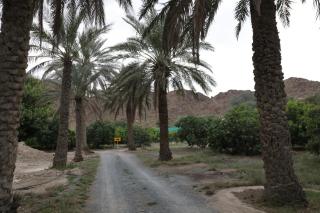 Moon night resort - Sharm - 8