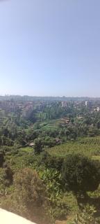 Studio solace kitisuru - 8