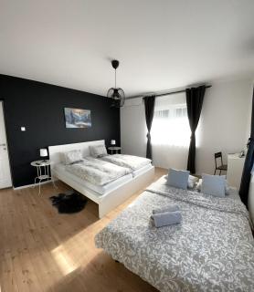 4 STARS APARTMENTS Near Airport - Velika Gorica - 7