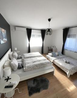 4 STARS APARTMENTS Near Airport - Velika Gorica - 6