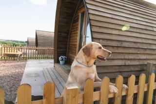 Saxon Meadow by Wigwam Holidays - Tamworth - 8